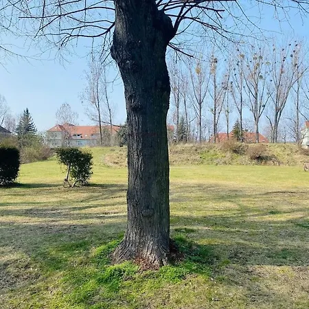 Apartment Exkl. Helles Mit Balkon, Wlan& Parkplatz